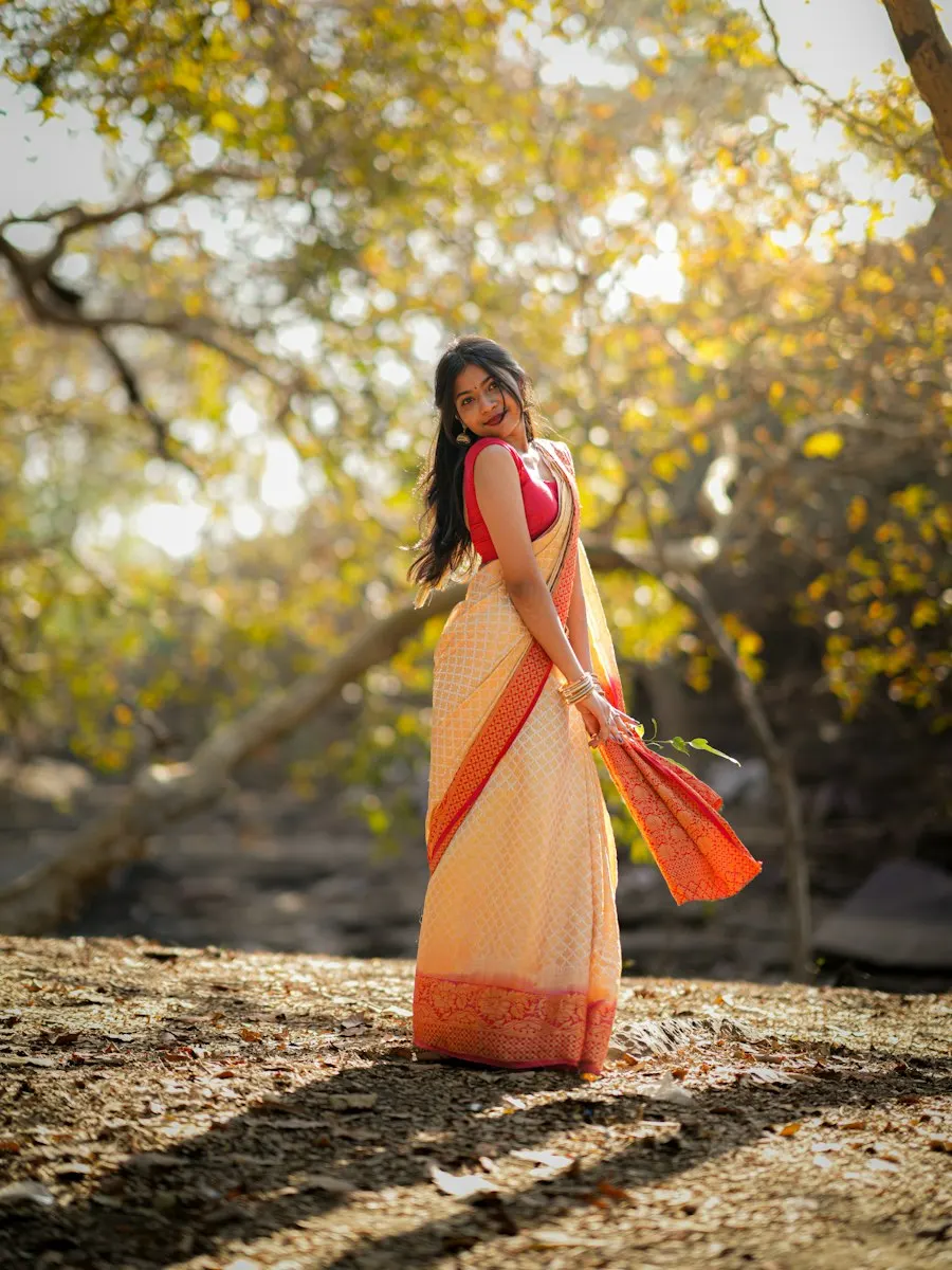 Graceful Georgette Saree - Made to Turn Heads