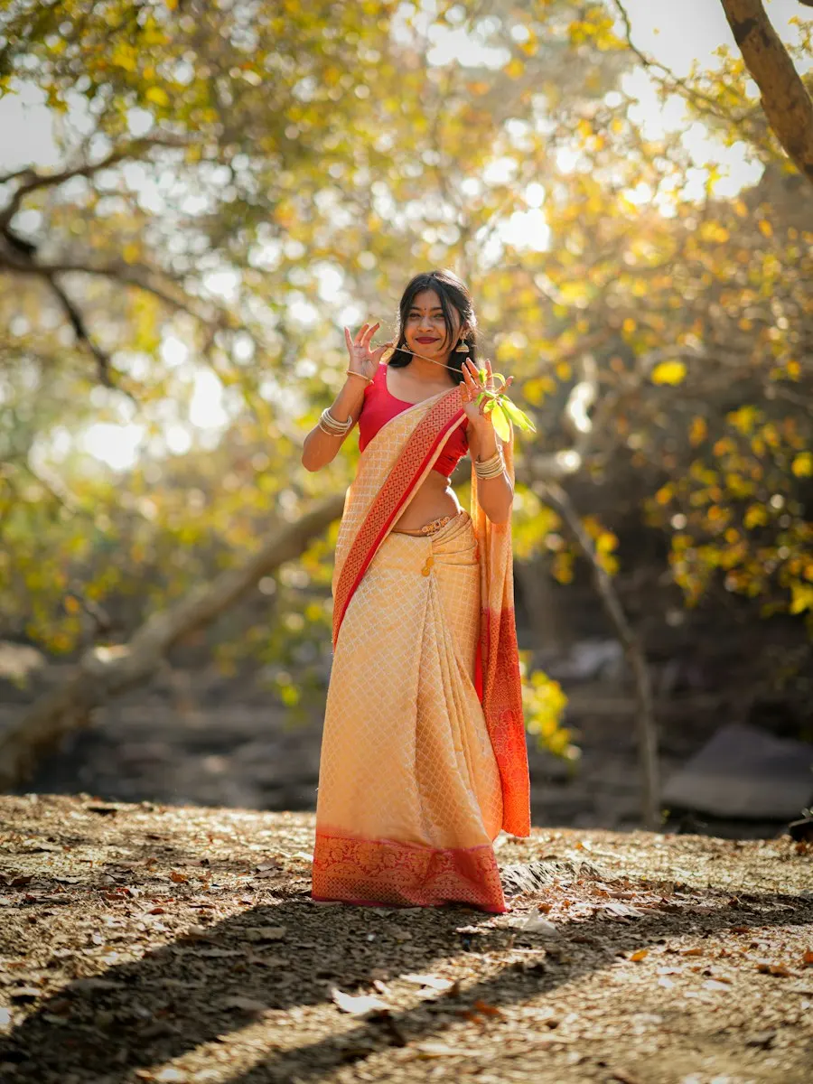 Graceful Georgette Saree - Made to Turn Heads