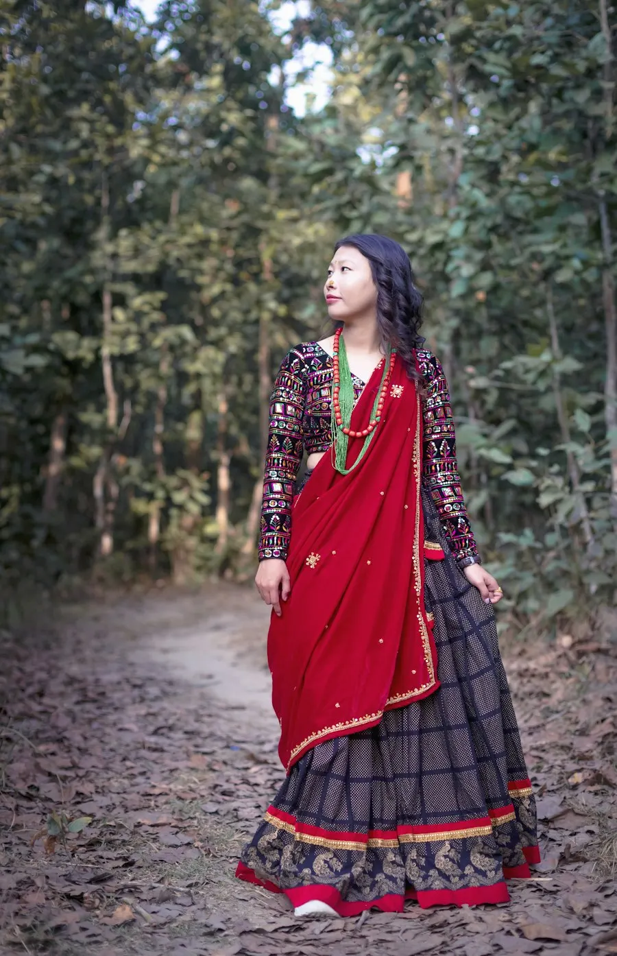 Heritage Chaniya Choli - Garba-Night Ready
