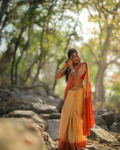 Royal Organza Saree - Heritage Craft Look
