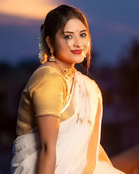 Regal White Gold Saree - Shine This Diwali